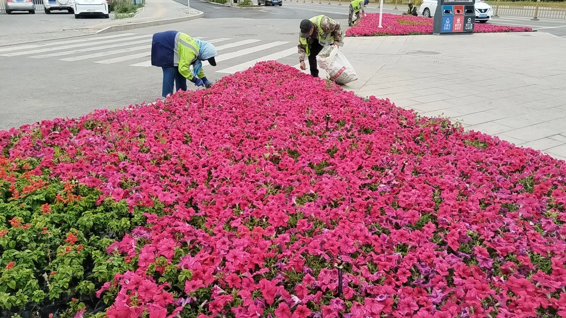 吉木萨尔县 裸露土地披“绿衣” 打造城市最靓底色
