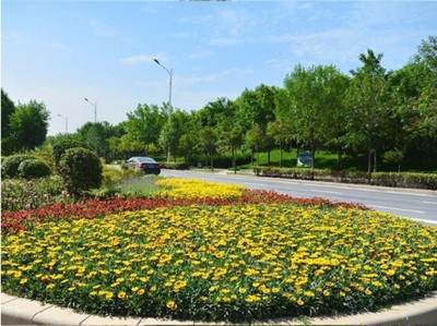 沈阳沈北新区园林绿化养护与花卉树木种植费用解析